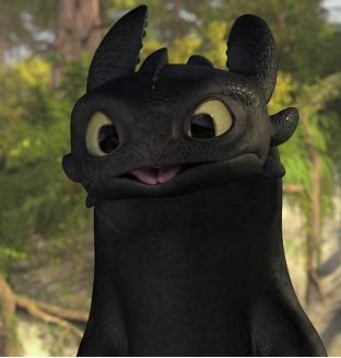 Credit for picture to How to train your dragon wiki.